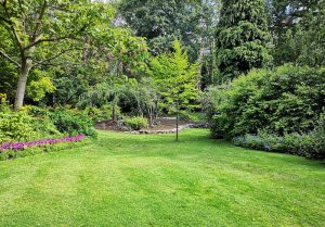 Optimiser l'expérience du jardin à Le Noyer-en-Ouche